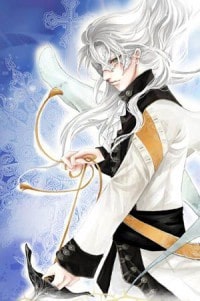 盖世帝尊